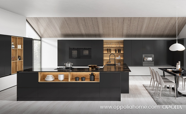 Modern Matte Black Kitchen Cabinets