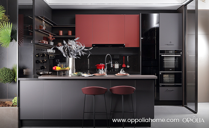 Gray and Red Matte Lacquer Kitchen Furniture